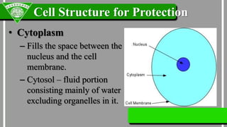 Parts and Functions of the Cell | PPTX
