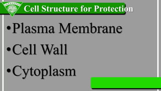 Normal Cell Protection Parts and Functions of the Cell | PPTX