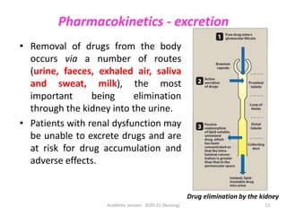 Pharmacokinetics - excretion
• Removal of drugs from the body
occurs via a number of routes
(urine, faeces, exhaled air, saliva
and sweat, milk), the most
important being elimination
through the kidney into the urine.
• Patients with renal dysfunction may
be unable to excrete drugs and are
at risk for drug accumulation and
adverse effects.
Drug elimination by the kidney
Academic session: 2020-21 (Nursing) 13
 