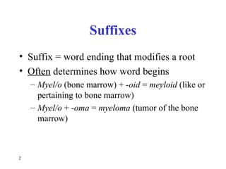 Understanding Prefixes and Suffixes A study | PPT