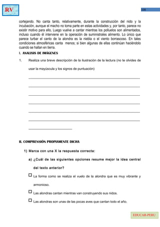 108RV
EDUCAR-PERU
cortejando. No canta tanto, relativamente, durante la construcción del nido y la
incubación, aunque el macho no toma parte en estas actividades y, por tanto, parece no
existir motivo para ello, Luego vuelve a cantar mientras los polluelos son alimentados,
incluso cuando él interviene en la operación de suministrales alimento. Lo único que
parece turbar el canto de la alondra es la niebla o el viento borrascoso. En tales
condiciones atmosféricas canta menos; si bien algunas de ellas continúan haciéndolo
cuando se hallan en tierra.
I. ANALISIS DE IMÁGENES
1. Realiza una breve descripción de la ilustración de la lectura (no te olvides de
usar la mayúscula y los signos de puntuación)
_____________________________________________________________________
_____________________________________________________________________
_____________________________________________________________________
_____________________________________________________________________
_____________________________________________________________________
_____________________________________________________________________
___________________________
II. COMPRENSIÓN PROPIAMENTE DICHA
1) Marca con una X la respuesta correcta:
a) ¿Cuál de las siguientes opciones resume mejor la idea central
del texto anterior?
La forma como se realiza el vuelo de la alondra que es muy vibrante y
armonioso.
Las alondras cantan mientras van construyendo sus nidos.
Las alondras son unas de las pocas aves que cantan todo el año.
 