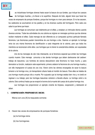 132RV
EDUCAR-PERU
as industriosas hormigas obreras hasta sacan la basura de sus túneles, que incluye los cuerpos
de hormigas muertas, y la llevan a la superficie. Después de todo, alguien tiene que hacer las
veces de empresario de pompas fúnebres, porque las hormigas no viven para siempre. Si no las sacaran,
los cadáveres se acumularían en los pasillos y en los diversos cuartos del hormiguero. Pero cada una
sabe lo que tiene que hacer.
L
Las hormigas se comunican casi totalmente por el olfato, y emplean un intrincado idioma usando
diversos aromas. Todas las actividades de una colonia se originan en mensajes químicos que las obreras
reciben mediante el olfato. Cada mensaje de olor diferente es un compuesto químico particular llamado
feromona. Las feromonas pueden transmitirse de una hormiga a otra. Veamos un ejemplo: la hormiga
reina da una misma feromona de identificación a cada integrante de la colonia, para que todos los
miembros se reconozcan entre ellos. Las hormigas que no tienen la característica debida, son expulsadas
de la colonia.
Uno de los mensajes de olor más interesante, es la feromona especial que emiten las hormigas
cuando mueren. Este mensaje comunica a las demás hormigas que deben deshacerse del cadáver:
trabajo de basureros. Los hombres de ciencia descubrieron esta feromona no hace mucho, y para
demostrar su función, realizaron este experimento: primero aislaron la feromona de una hormiga muerta y
con ella impregnaron el cuerpo de una viva. Vieron cómo las obreras encargadas de sacar la basura
tomaron a la hormiga viva y la transportaron afuera hasta el montón de basura. Para ellas se trataba de
una hormiga muerta porque olía a muerte. Por supuesto que la hormiga estaba bien viva y no tardó en
regresar a su trabajo; pero las hormigas basureras volvieron a llevarla afuera. La hormiga volvió a la
colonia. Esto continuó hasta que se evaporó el aroma de la muerte del cuerpo de la pobre hormiga viva.
Las hormigas nos proporcionan un ejemplo viviente de limpieza, cooperación y dedicación al
deber.
I. COMPRENSIÓN PROPIAMENTE DICHA
Marca con una (X) la respuesta correcta:
2. Hacen las veces de empresarios de pompas fúnebres:
(a) la hormiga reina
(b) los hormigones
 