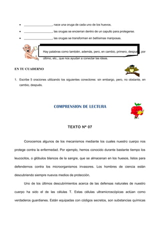 • ___________________, nace una oruga de cada uno de los huevos.
• ___________________, las orugas se encierran dentro de un capullo para protegerse.
• ___________________, las orugas se transforman en bellísimas mariposas.
Hay palabras como también, además, pero, en cambio, primero, después, por
último, etc., que nos ayudan a conectar las ideas.
EN TU CUADERNO
1. Escribe 5 oraciones utilizando los siguientes conectores: sin embargo, pero, no obstante, en
cambio, después.
COMPRENSION DE LECTURA
TEXTO Nº 07
Conocemos algunos de los mecanismos mediante los cuales nuestro cuerpo nos
protege contra la enfermedad. Por ejemplo, hemos conocido durante bastante tiempo los
leucocitos, o glóbulos blancos de la sangre, que se almacenan en los huesos, listos para
defendernos contra los microorganismos invasores. Los hombres de ciencia están
descubriendo siempre nuevos medios de protección.
Uno de los últimos descubrimientos acerca de las defensas naturales de nuestro
cuerpo ha sido el de las células T. Estas células ultramicroscópicas actúan como
verdaderos guardianes. Están equipadas con códigos secretos, son substancias químicas
 
