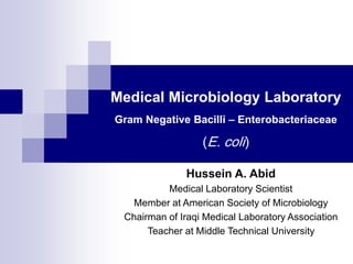 Medical Microbiology Laboratory
Gram Negative Bacilli – Enterobacteriaceae
(E. coli)
Hussein A. Abid
Medical Laboratory Scientist
Member at American Society of Microbiology
Chairman of Iraqi Medical Laboratory Association
Teacher at Middle Technical University
 