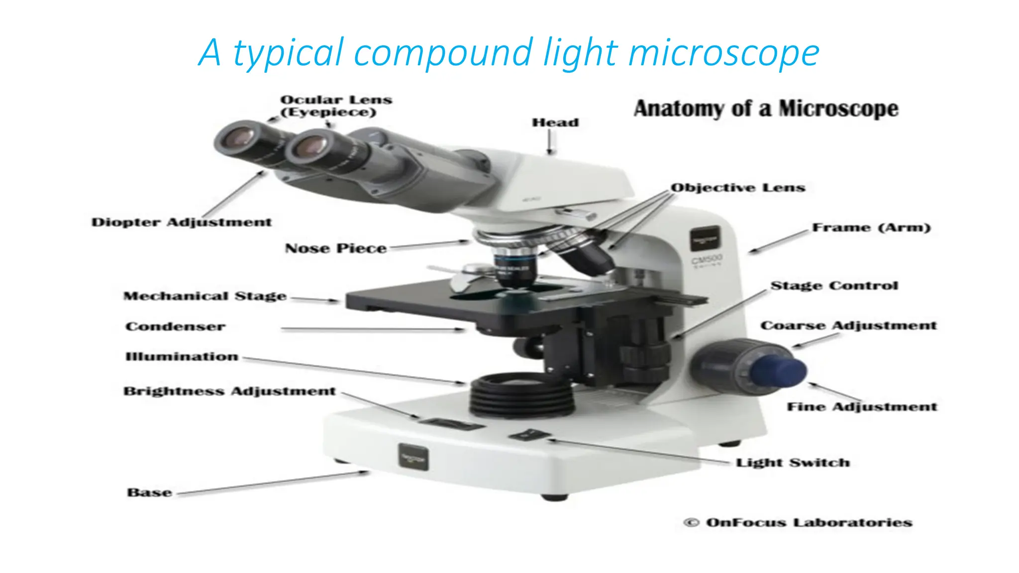 A typical compound light microscope
 