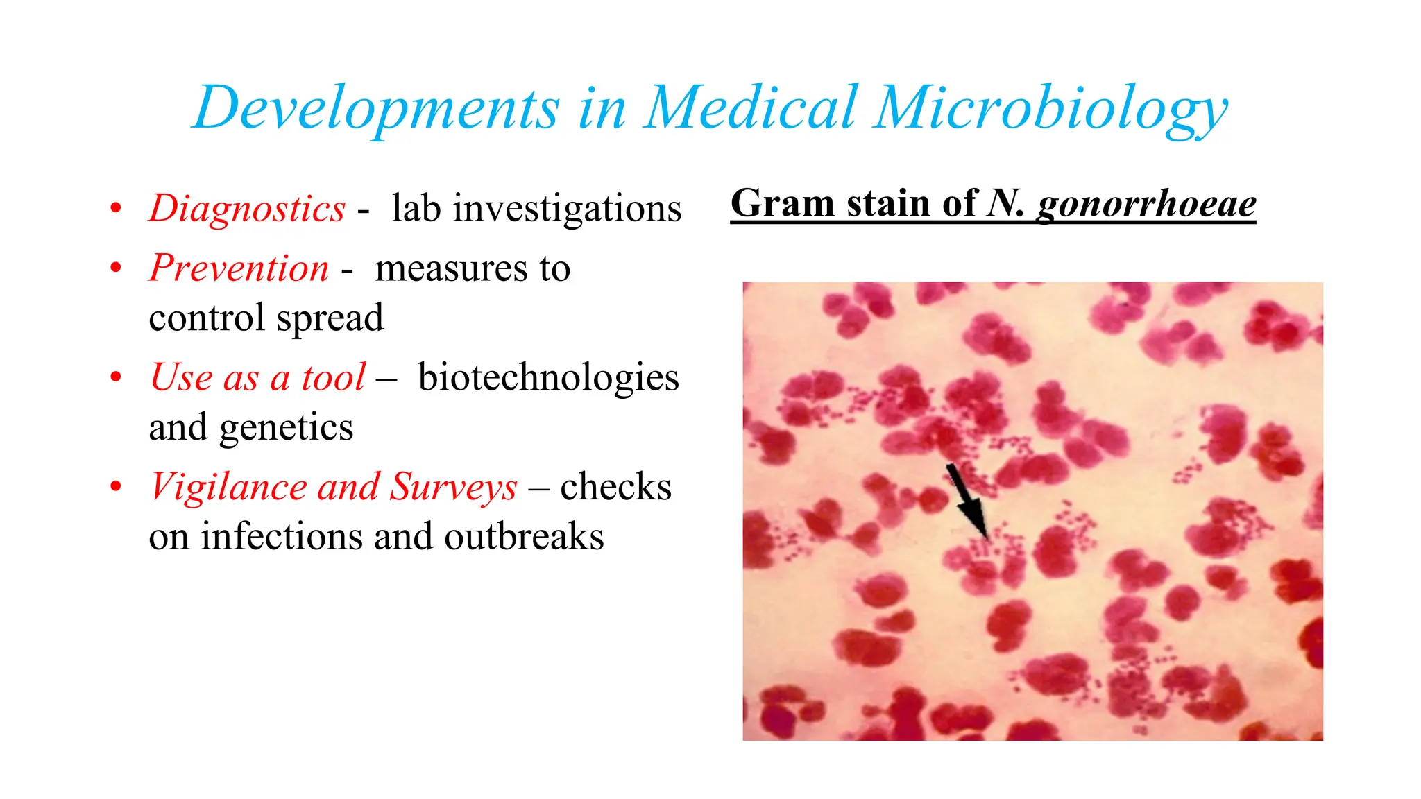 Developments in Medical Microbiology
• Diagnostics - lab investigations
• Prevention - measures to
control spread
• Use as a tool – biotechnologies
and genetics
• Vigilance and Surveys – checks
on infections and outbreaks
Gram stain of N. gonorrhoeae
 