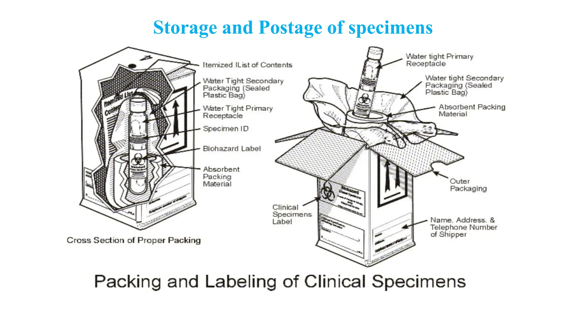 Storage and Postage of specimens
 