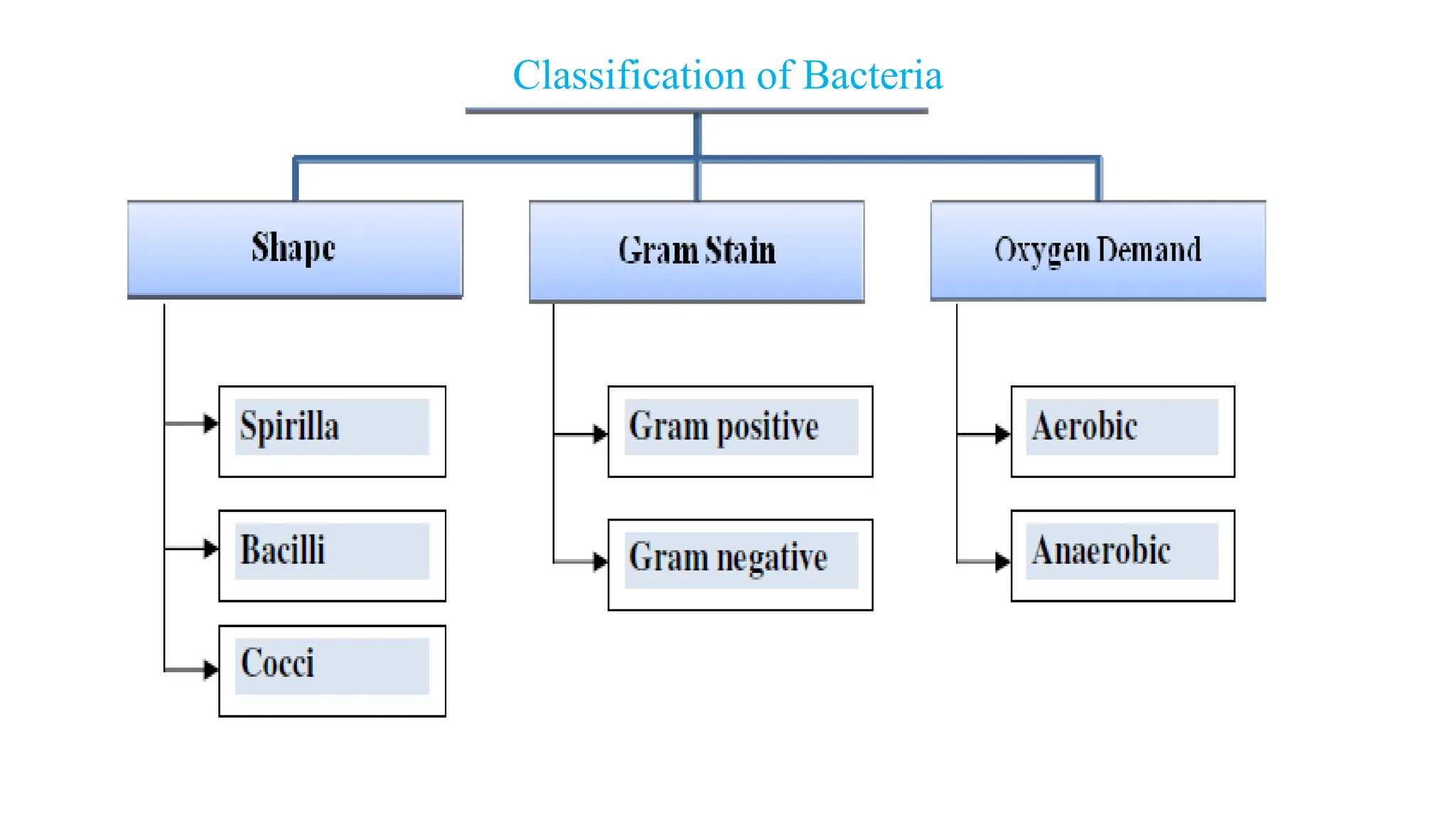 Classification of Bacteria
 