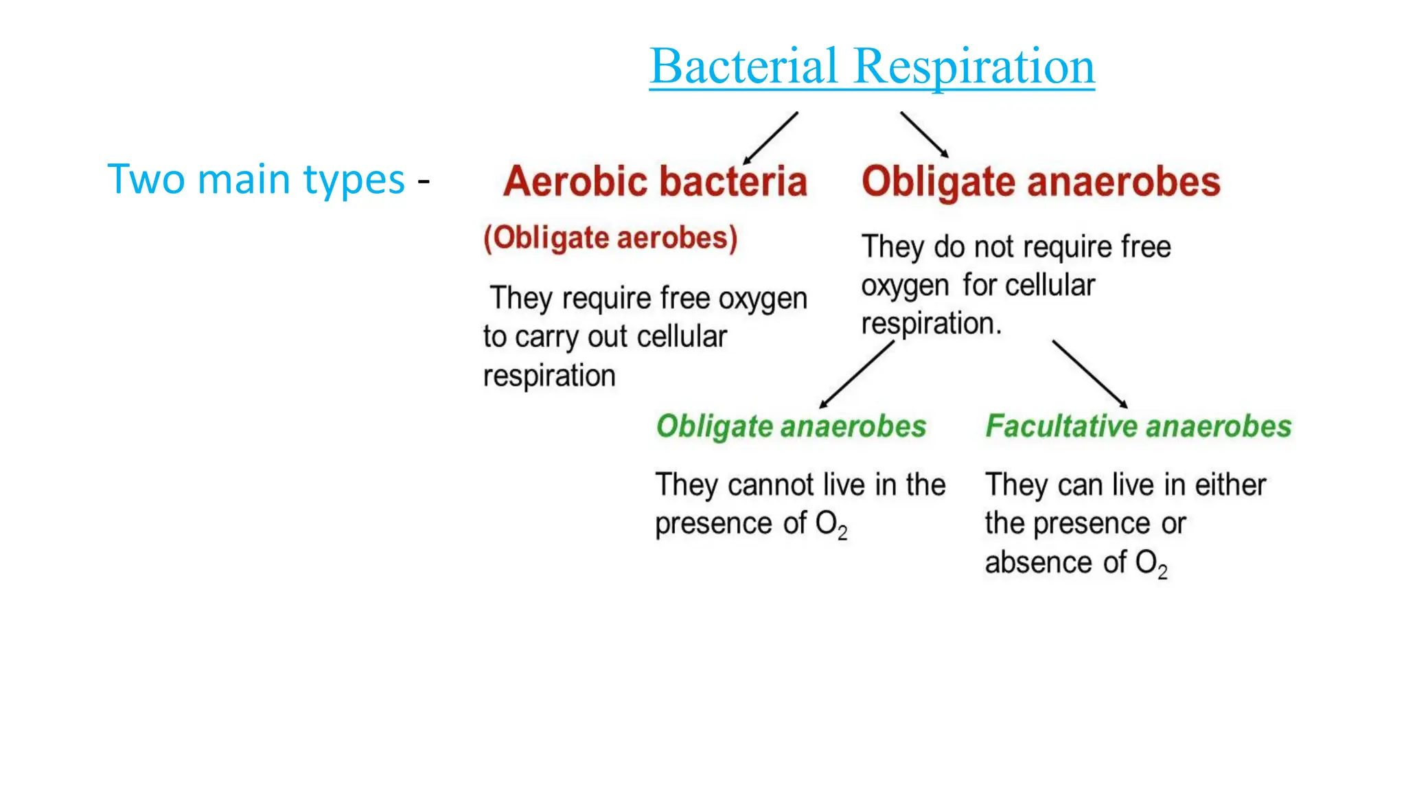 Bacterial Respiration
Two main types -
 