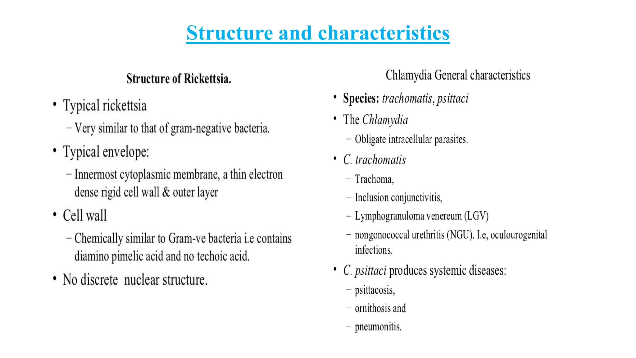 Structure and characteristics
 