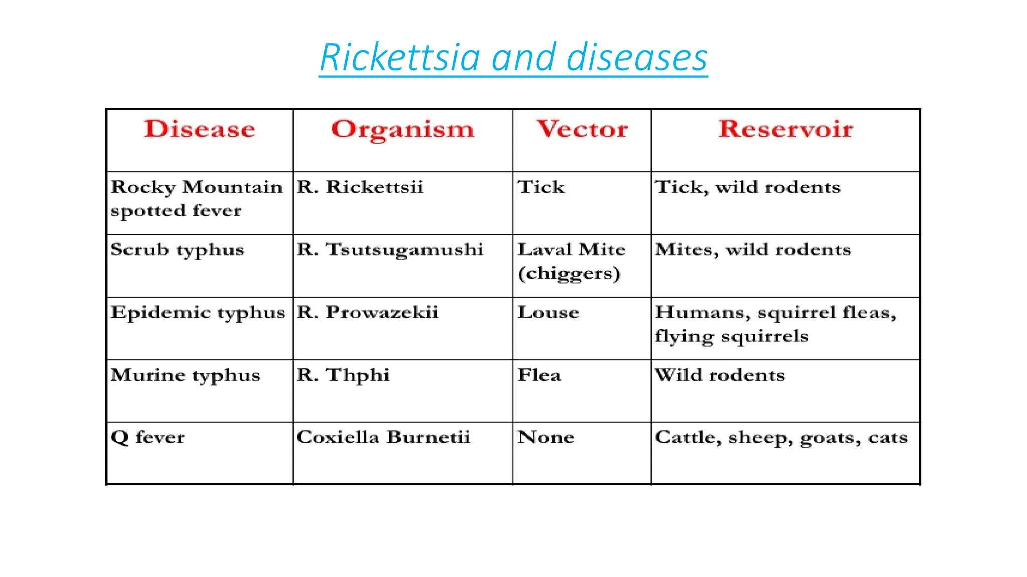 Rickettsia and diseases
 