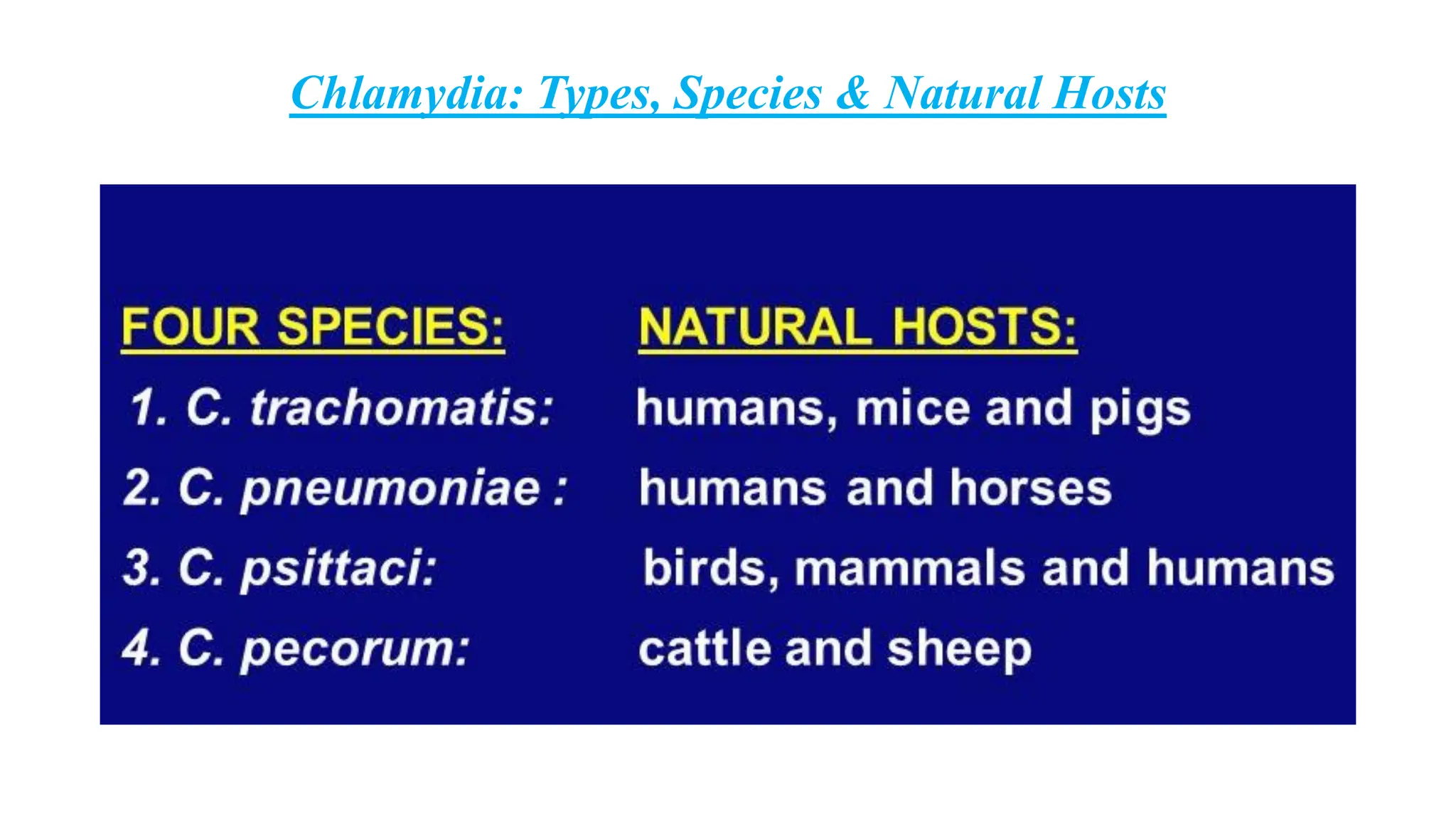 Chlamydia: Types, Species & Natural Hosts
 