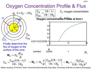 L20 Shrinking core model, internal diffusion and catalysis.pptx