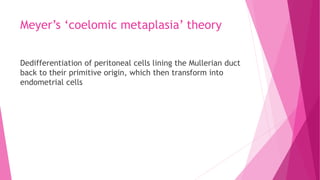Meyer’s ‘coelomic metaplasia’ theory
Dedifferentiation of peritoneal cells lining the Mullerian duct
back to their primitive origin, which then transform into
endometrial cells
 