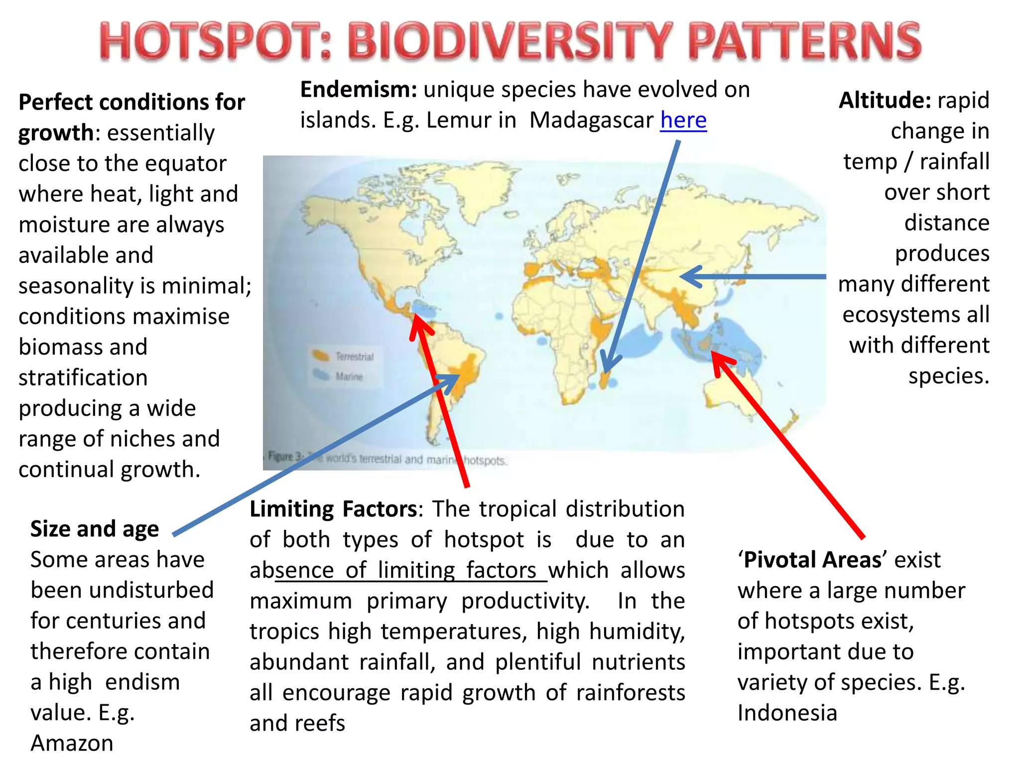 Limiting Factors: The tropical distribution
of both types of hotspot is due to an
absence of limiting factors which allows
maximum primary productivity. In the
tropics high temperatures, high humidity,
abundant rainfall, and plentiful nutrients
all encourage rapid growth of rainforests
and reefs
‘Pivotal Areas’ exist
where a large number
of hotspots exist,
important due to
variety of species. E.g.
Indonesia
Altitude: rapid
change in
temp / rainfall
over short
distance
produces
many different
ecosystems all
with different
species.
Size and age
Some areas have
been undisturbed
for centuries and
therefore contain
a high endism
value. E.g.
Amazon
Endemism: unique species have evolved on
islands. E.g. Lemur in Madagascar here
Perfect conditions for
growth: essentially
close to the equator
where heat, light and
moisture are always
available and
seasonality is minimal;
conditions maximise
biomass and
stratification
producing a wide
range of niches and
continual growth.
 
