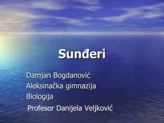 Sunđeri
Damjan Bogdanović
Aleksinačka gimnazija
Biologija
Profesor Danijela Veljković
 