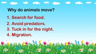Why do animals move?
1. Search for food.
2. Avoid predators.
3. Tuck in for the night.
4. Migration.
 