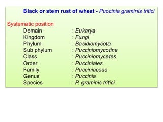 L 23. Rust-1.ppt