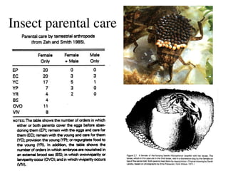 Parantl Insect PARENTAL CARE IN ALL THE MAMMALS AMPHIBIA AND FISHES | PPT