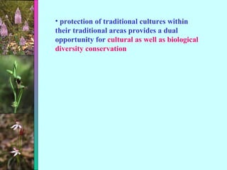 protection of traditional cultures within their traditional areas provides a dual opportunity for  cultural as well as biological diversity conservation 
