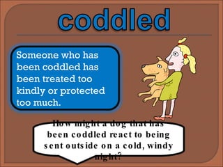 How might a dog that has been coddled react to being sent outside on a cold, windy night? Someone who has been coddled has been treated too kindly or protected too much. 