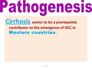 Cirrhosis seems to be a prerequisite
contributor to the emergence of HCC in
Western countries.
HCC
 