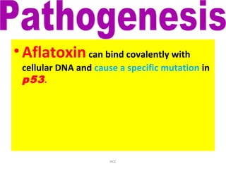 •Aflatoxincan bind covalently with
cellular DNA and cause a specific mutation in
p53.
HCC
 