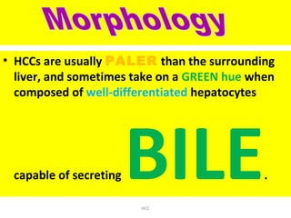 • HCCs are usually PALER than the surrounding
liver, and sometimes take on a GREEN hue when
composed of well-differentiated hepatocytes
capable of secreting BILE.
HCC
 