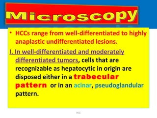 • HCCs range from well-differentiated to highly
anaplastic undifferentiated lesions.
I. In well-differentiated and moderately
differentiated tumors, cells that are
recognizable as hepatocytic in origin are
disposed either in a trabecular
pattern or in an acinar, pseudoglandular
pattern.
HCC
 