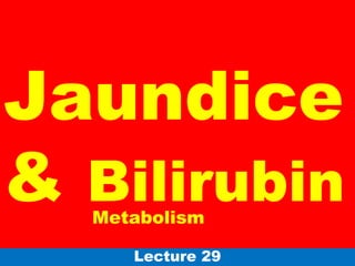 Jaundice
& Bilirubin
Lecture 29
Metabolism
 