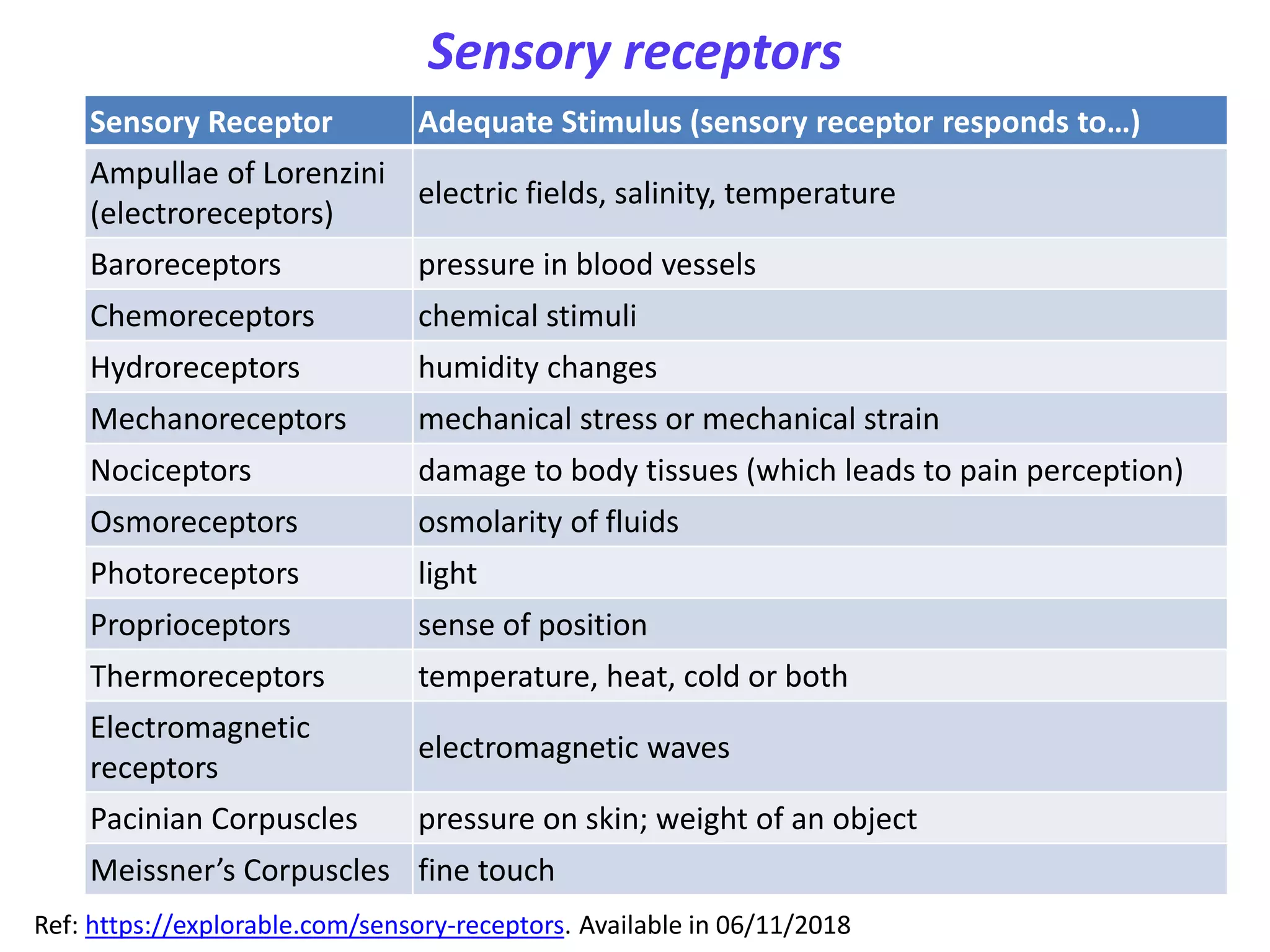 Sensory and motor pathways | PPTX