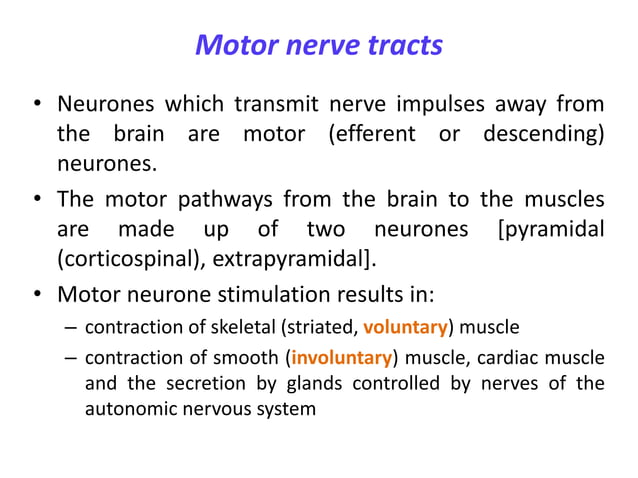 Sensory and motor pathways | PPTX | Brain and Nervous System Disorders ...