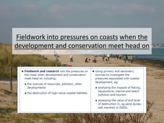 Fieldwork into pressures on coasts when the
development and conservation meet head on
 