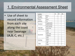 1. Environmental Assessment Sheet
• Use of sheet to
record information
from each site
along the coast
near Swanage
(A,B, C, etc.)
 
