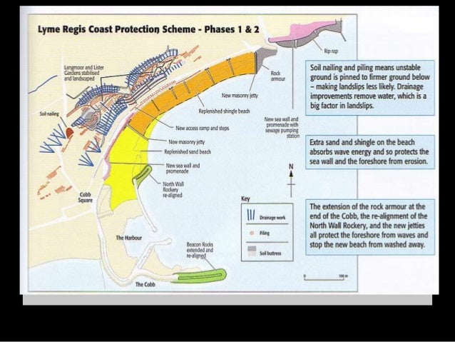 Lyme regis coastal management case study gcse picture