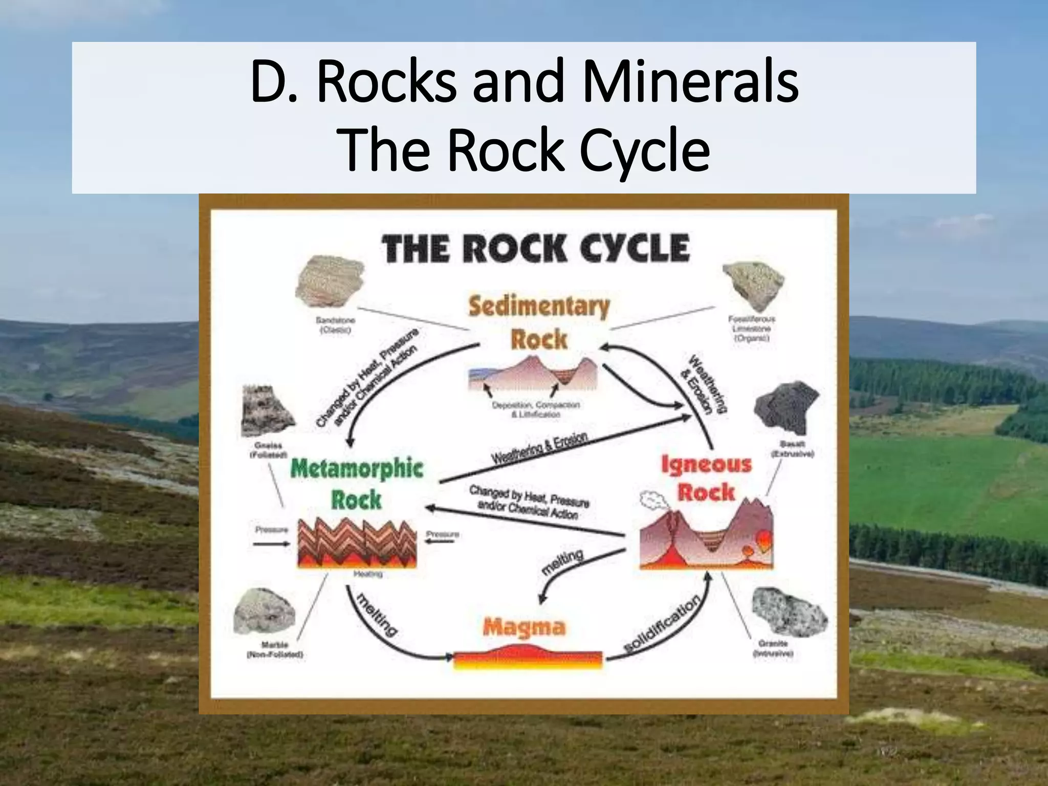 D. Rocks and Minerals
The Rock Cycle
 