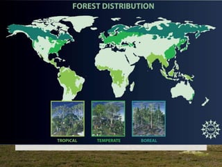 B. Forestry
• Insert map scanned from p
 
