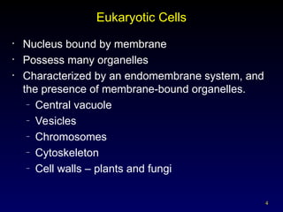 4
Eukaryotic Cells
• Nucleus bound by membrane
• Possess many organelles
• Characterized by an endomembrane system, and
the presence of membrane-bound organelles.
– Central vacuole
– Vesicles
– Chromosomes
– Cytoskeleton
– Cell walls – plants and fungi
 