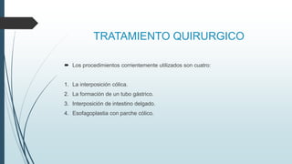 TRATAMIENTO QUIRURGICO
 Los procedimientos corrientemente utilizados son cuatro:
1. La interposición cólica.
2. La formación de un tubo gástrico.
3. Interposición de intestino delgado.
4. Esofagoplastia con parche cólico.
 