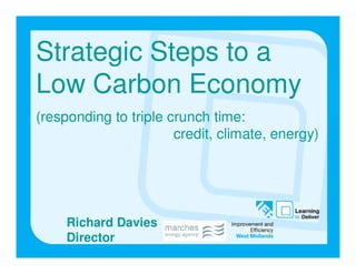 Strategic Steps to a
Low Carbon Economy
(responding to triple crunch time:
                       credit, climate, energy)




     Richard Davies
     Director
 