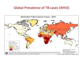 Global Prevalence of TB cases (WHO)
 