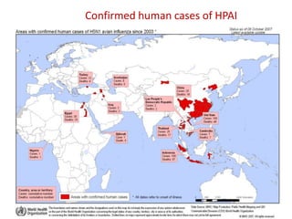 Confirmed human cases of HPAI
 
