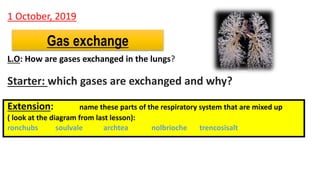 L.O: How are gases exchanged in the lungs?
Starter: which gases are exchanged and why?
Extension: name these parts of the respiratory system that are mixed up
( look at the diagram from last lesson):
ronchubs soulvale archtea nolbrioche trencosisalt
Gas exchange
1 October, 2019
 