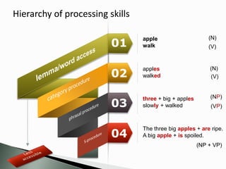 Hierarchy of processing skills
01
02
03
04
apple
walk
apples
walked
three + big + apples
slowly + walked
The three big apples + are ripe.
A big apple + is spoiled.
(N)
(V)
(N)
(V)
(NP)
(VP)
(NP + VP)
 