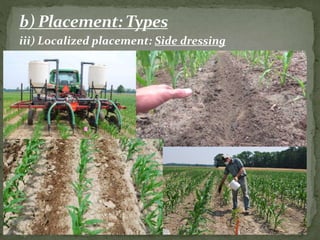 Image of Side dressing fertilizer image 3
