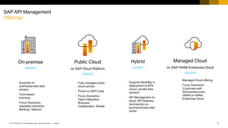 SAP Cloud Platform API Management Technical Brief | PPTX