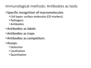 L2 Practical immunology.pdf
