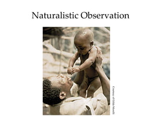 Naturalistic Observation Courtesy of Gilda Morelli 