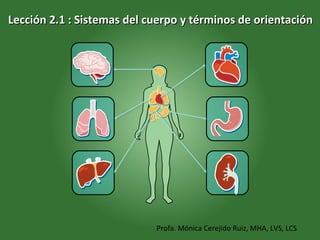 Lección 2.1 : Sistemas del cuerpo y términos de orientaciónLección 2.1 : Sistemas del cuerpo y términos de orientación
Profa. Mónica Cerejido Ruiz, MHA, LVS, LCS
 
