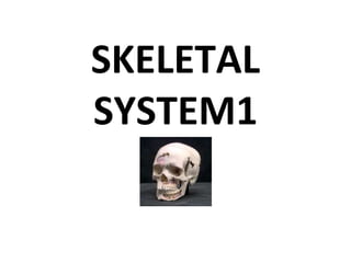 SKELETAL SYSTEM1 
